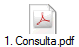 1. Consulta.pdf