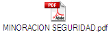 MINORACION SEGURIDAD.pdf