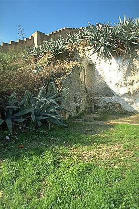 muralla en el cerro del aceituno