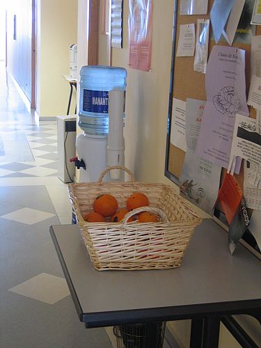 ©ayto.granada: easp: agua y fruta para los trabajadores