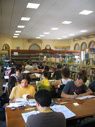 ©ayto.granada: biblioteca del saln