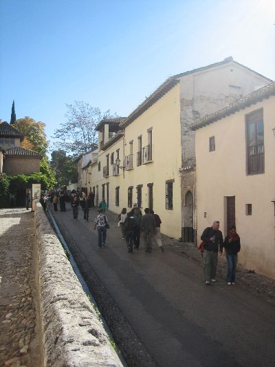 ©ayto.granada: calle real