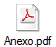 Anexo.pdf