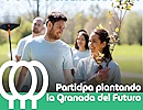 Anillo verde, programa de renaturalizacin urbana 2024-2025