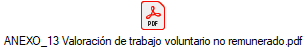 ANEXO_13 Valoracin de trabajo voluntario no remunerado.pdf